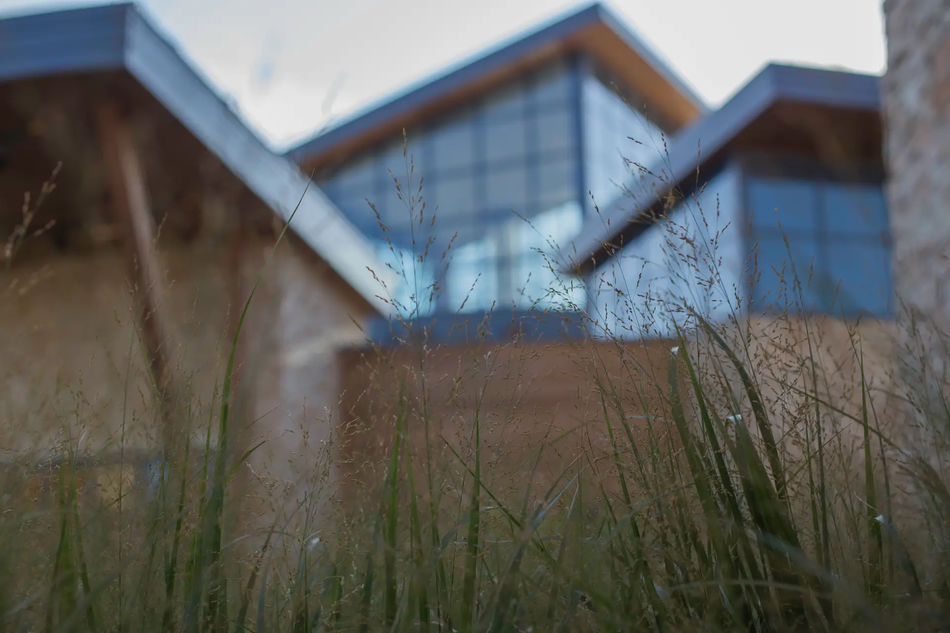 Mosaic Lifecare at Shoal Creek